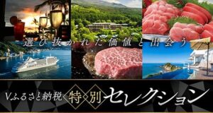Vふるさと納税が特設ページ公開　2027年1月に証明書発行・マイナ連携対応へ