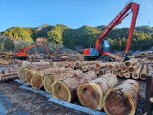 休暇村奥武蔵、西川材の伐採やせりを見学する体験宿泊プランを11月に実施へ