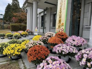 県立恩賜箱根公園で秋のざる菊展示が２０２６年１０月１７日から開催へ