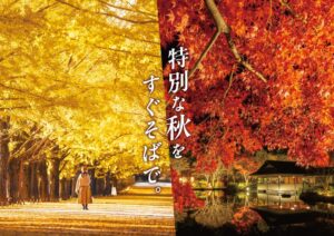 国営昭和記念公園で黄葉・紅葉まつり＆秋の夜散歩2026が10月29日から開催へ