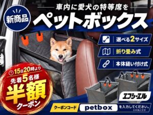 WiNEEDS HOLDINGS、車載用ペットボックスの販売を開始へ
