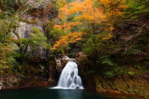 三重県名張市の赤目四十八滝で秋の紅葉とライトアップ三重赤目 滝あかりを開催へ
