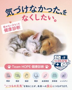 Team HOPEと協賛22社、ペット定期健診の重要性を発信する共同啓発を実施へ