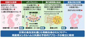森永乳業ら、産後のαディフェンシン分泌量と母親の気分状態の関連性を確認