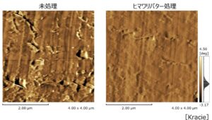 クラシエ、ヒマワリバターの毛髪柔軟化効果を発見　２７年春の製品に応用へ