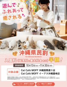 MOFF、沖縄の猫カフェ2店舗で県民限定の半額キャンペーンを10月13日より実施へ