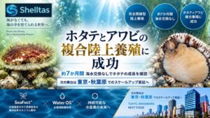 気候変動で揺らぐ世界の水産業に、日本発の新たな選択肢。Shelltas、天然由来の原料で開発した人工海水でホタテとアワビの複合陸上養殖に成功