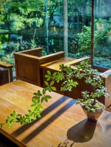 【箱根リトリートfore & villa 1/f】箱根の森を、小さな庭に。苔や石、苗木に触れ、自分だけの景色をつくる「小庭盆栽」体験を開催