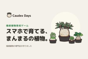 スマホで塊根植物 Caudex Days by konaeが10月13日公開へ