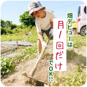 ハタモリ、体験農園HATA-STEP一宮農園を80区画へ拡張し法人プランを開始へ
