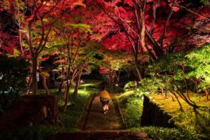 HIS、MOA美術館を夜間貸し切る熱海日帰りバスツアーを10月14日発売へ