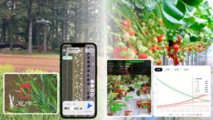 クロロス、コムギ異型株検出やイチゴ登熟予測などのAI作物認識技術を2学会で発表