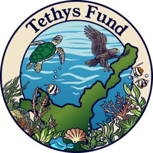 公益財団法⼈ ⽇本フィランソロピック財団、Tethys基金の公募を10月開始へ
