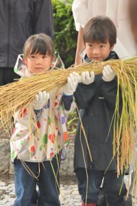 アンジェリカ保育園が千葉県長柄町で稲刈り体験 都会の親子約200名が参加