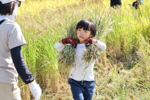 第43回全国都市緑化フェアin京都丹波、5拠点での体験型イベントのレポート公開