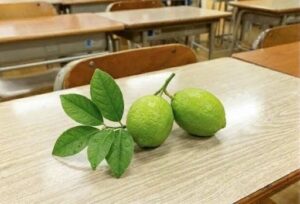 SCENTMATICが東京コミュニティスクールで香りの授業を都内初開催 校舎裏のレモン活用
