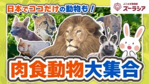 ズーラシアとYouTube特別動画で予防歯科を楽しく学ぶ取り組みへ