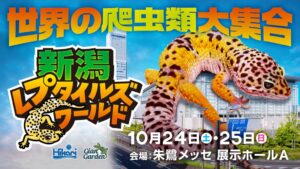 新潟レプタイルズワールドが朱鷺メッセで初開催へ 70社以上が出展予定