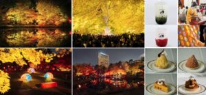 札幌商工会議所が中島公園で紅葉ライトアップを開催へ　初日に点灯式も