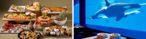 【神戸須磨シーワールド】水族館で過ごす特別な夜「スマシークリスマス2026」開催