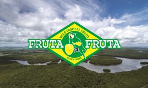 フルッタフルッタ、ブラジルのCAMTAとバイオ炭設備導入や海外販売協業で基本合意