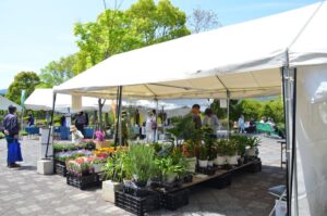 とくしま植物園で第４０回緑化フェアを令和８年１０月１８日に開催へ