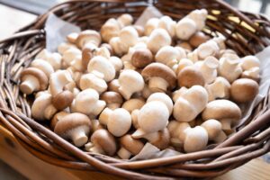 【農産物詰め放題祭り】秋冬の味覚を袋いっぱいに！千葉・香取「THE FARM BASE」にて開催中