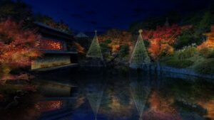 豊島区立目白庭園で秋の夜間ライトアップ開催へ　初のマッピングも実施