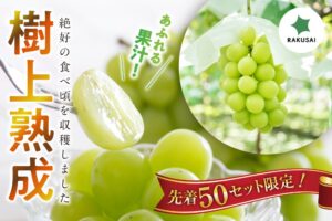 楽彩、岡木農園の木熟シャインマスカットを2026年10月19日予約販売へ