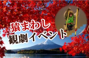 JAF山梨支部が河口湖で会員向け猿まわし観劇イベントを11月7日に開催へ