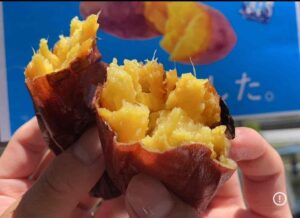 第4回芋フェス！ＩＮ浜松城公園が2026年10月開催へ　出店者21店舗を発表