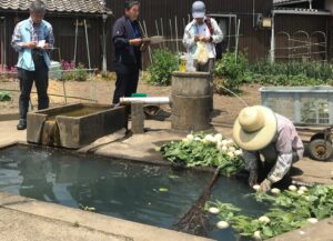 滋賀県立琵琶湖博物館で環境講座地域活動の魅力を11月1日に開催へ