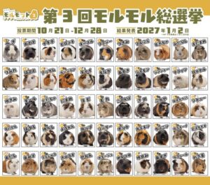 足立区生物園がモルモル総選挙を開催へ 過去最多55頭が立候補
