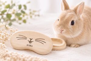 Okulu、名入れ可能な桐製うさぎのひげケースを発売