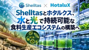 Shelltasとホタルクス、水と光で持続可能な食料生産エコシステムの構築へ