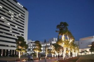福岡大学が芝生広場周辺でイルミネーション実施へ 令和9年4月にはイベントも