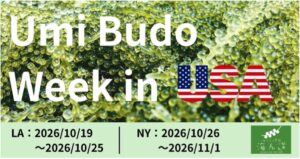 米国のレストラン19店舗と連携し、海ぶどうの新たな食の魅力を『Umi Budo Week＠アメリカ』で発信