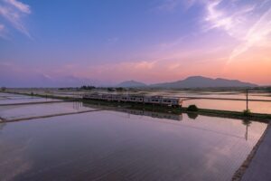 米『National Geographic』「2027年に行くべき世界の旅行先25選」に新潟県が選出、日本から唯一のランクイン