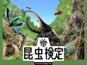 【申込締切間近！】記念すべき第1回昆虫検定。片田陽依さんがアンバサダーに就任。