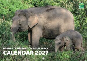 BCTJが阿部雄介氏撮影の2027年カレンダーを販売 売り上げは活動運営費に