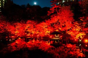 【11/27(金)～12/6(日)】広大な日本庭園を橙から赤に染めるイベント『TOKYO RED GARDEN 2026』開催
