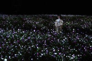 チームラボ ボタニカルガーデン 大阪でコスモスの作品を11月7日から公開へ