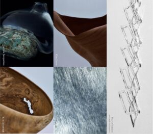 表参道Re Gallery SCEARNで国内外5名の作家による作品展を開催へ