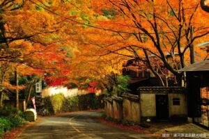 湯河原の旅館で紅葉と文学を楽しむ秋の宴2026を11月14日から開催へ