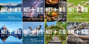 ニュージーランド航空 成田－クライストチャーチ線を11月27日就航へ セールも