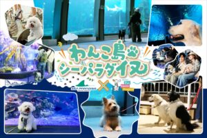 横浜・八景島シーパラダイス、愛犬同伴イベントを３日間限定で開催へ