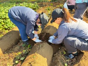 コープみらいと多古町旬の味産直センターが産地交流イベントを開催