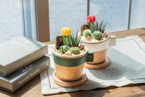ベルモンドのサボテン寄せ植えシリーズにラテマグタイプの新カラー2種が追加