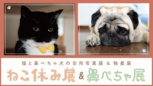 横浜高島屋でねこ休み展と鼻ぺちゃ展が10月29日から同時開催へ