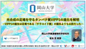 光合成の足場を守るタンパク質VIPP1の進化解明 岡山大学などの国際共同研究